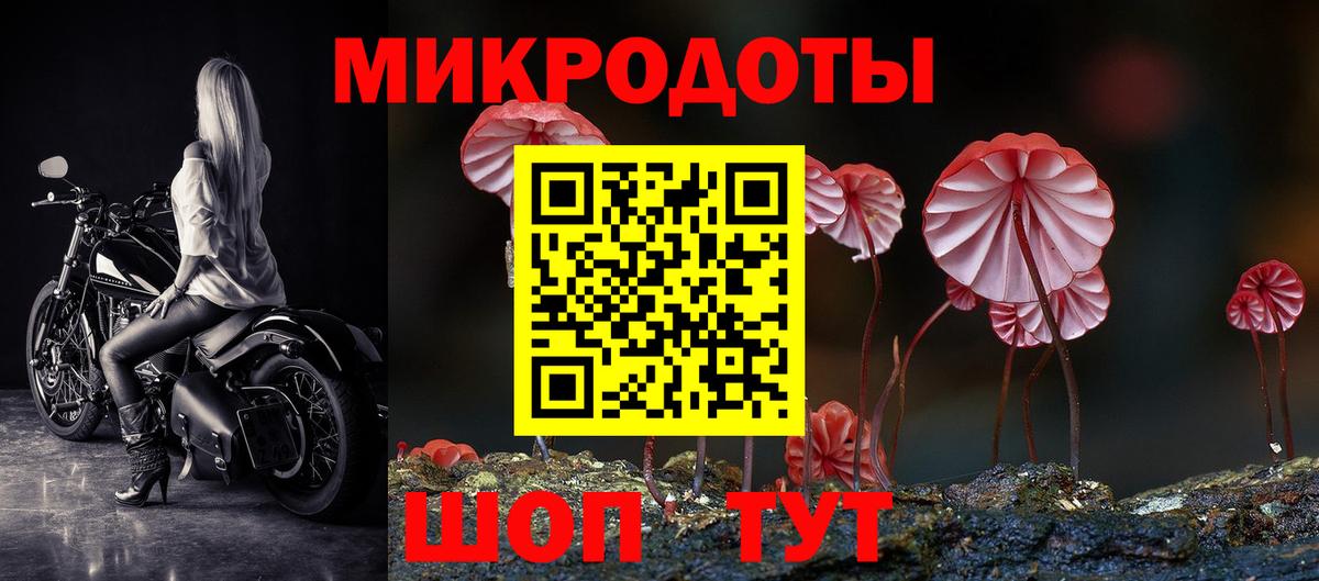 Курчатов  Псилоцибиновые грибы прущие грибы  Вход с VPN  Псилоцибиновые грибы ЛСД 