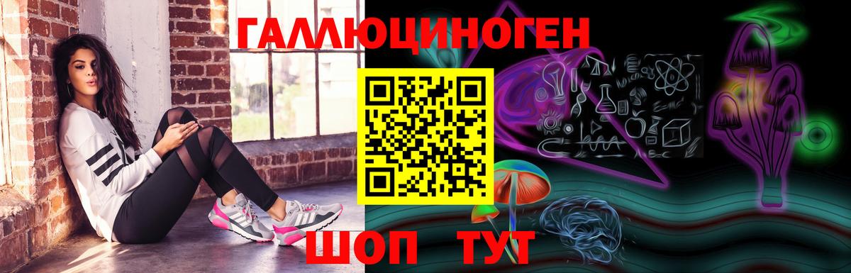 Галлюциногенные грибы Psilocybine cubensis Курчатов